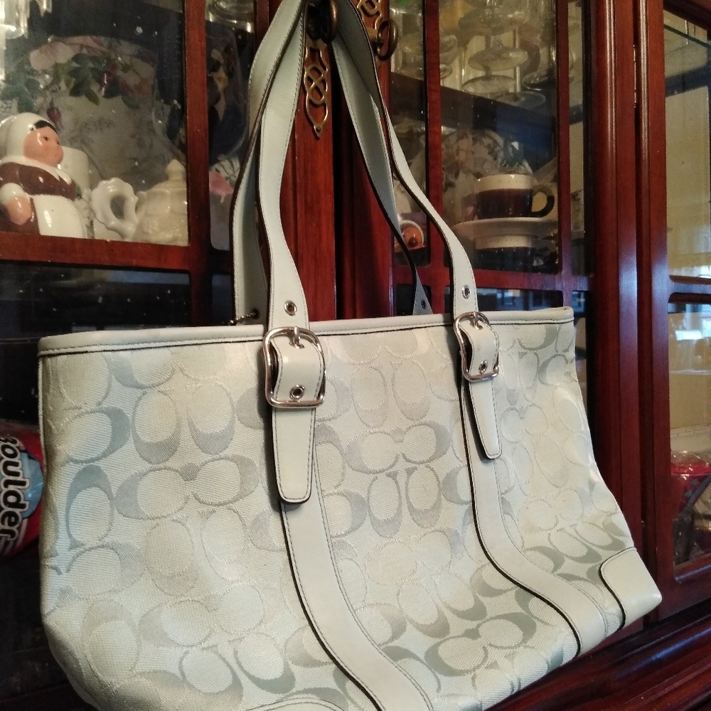 BABY BLUE TOTES